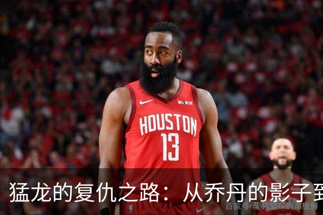 猛龙的复仇之路：从乔丹的影子到全新英雄